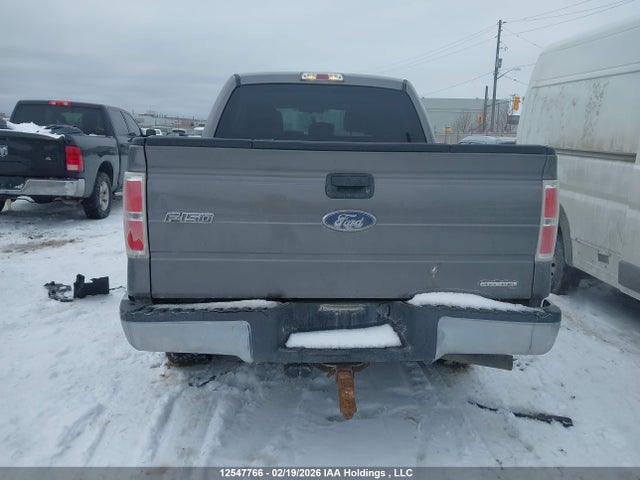2014 Ford F-150 Xlt მანქანა იყიდება აუქციონზე, vin: 1FTFW1EF8EFC75146, აუქციონის ნომერი: 12547766