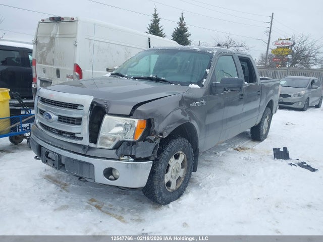 2014 Ford F-150 Xlt მანქანა იყიდება აუქციონზე, vin: 1FTFW1EF8EFC75146, აუქციონის ნომერი: 12547766