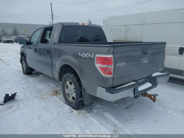 2014 Ford F-150 Xlt მანქანა იყიდება აუქციონზე, vin: 1FTFW1EF8EFC75146, აუქციონის ნომერი: 12547766