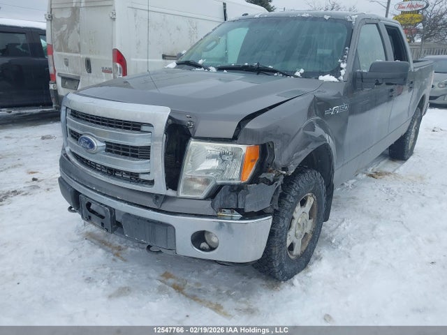2014 Ford F-150 Xlt მანქანა იყიდება აუქციონზე, vin: 1FTFW1EF8EFC75146, აუქციონის ნომერი: 12547766