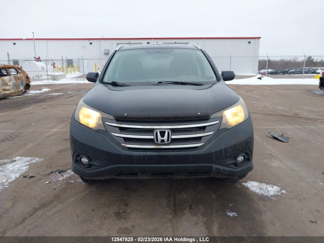 12547825 :رقم المزاد ، 2HKRM4H72CH100080 vin ، 2012 Honda Cr-v Ex-l مزاد بيع
