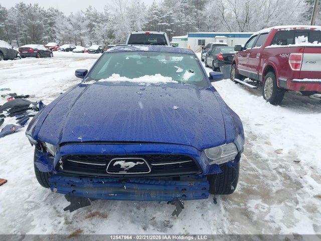 2013 Ford Mustang მანქანა იყიდება აუქციონზე, vin: 1ZVBP8AM4D5222485, აუქციონის ნომერი: 12547964