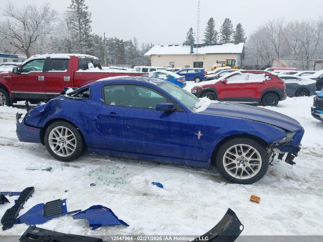 2013 Ford Mustang მანქანა იყიდება აუქციონზე, vin: 1ZVBP8AM4D5222485, აუქციონის ნომერი: 12547964