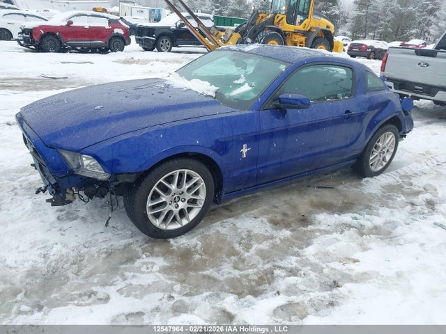 2013 Ford Mustang მანქანა იყიდება აუქციონზე, vin: 1ZVBP8AM4D5222485, აუქციონის ნომერი: 12547964