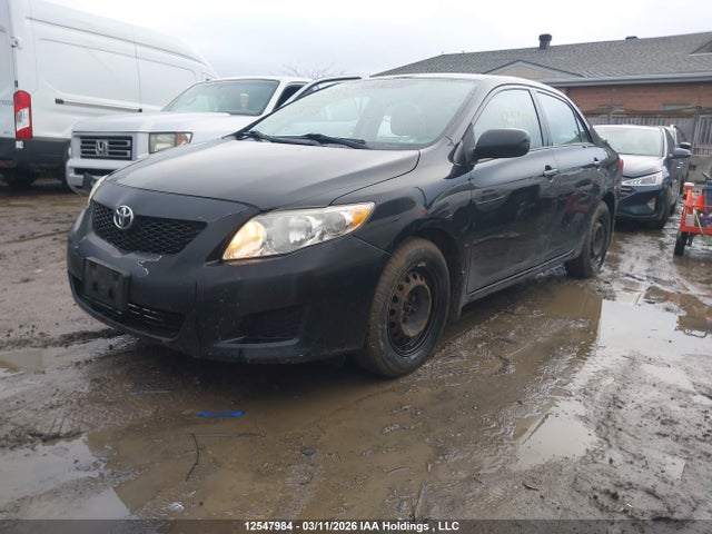 Продаж на аукціоні авто 2009 Toyota Corolla S/le/xle, vin: 2T1BU40E59C069981, номер лоту: 12547984