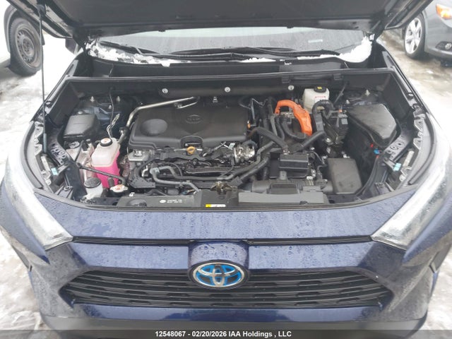 2T3RWRFV2PW159704 Toyota Rav4 Hybrid Xle