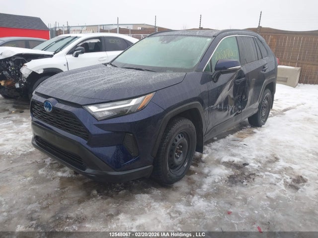 2T3RWRFV2PW159704 Toyota Rav4 Hybrid Xle