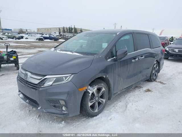 Honda ODYSSEY EX 2019 5FNRL6H43KB500554 Image 2