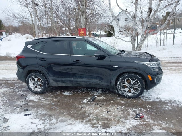 Aukcja sprzedaży 2021 Kia Seltos Ex/ex Premium, vin: KNDERCAA6M7159283, numer aukcji: 12548127