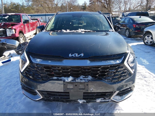 Продажа на аукционе авто 2025 Kia Sportage Ex, vin: KNDPVCDF7S7368329, номер лота: 12548307