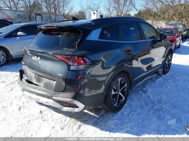 Продажа на аукционе авто 2025 Kia Sportage Ex, vin: KNDPVCDF7S7368329, номер лота: 12548307