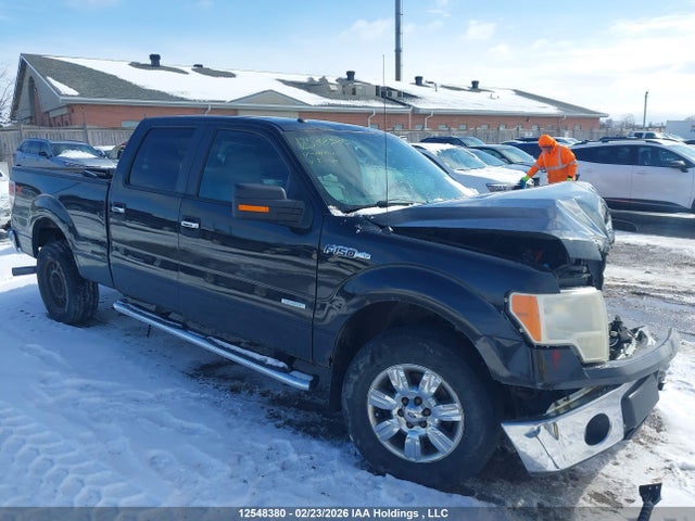 2011 Ford F-150 Xlt მანქანა იყიდება აუქციონზე, vin: 1FTFW1ET8BFA97191, აუქციონის ნომერი: 12548380
