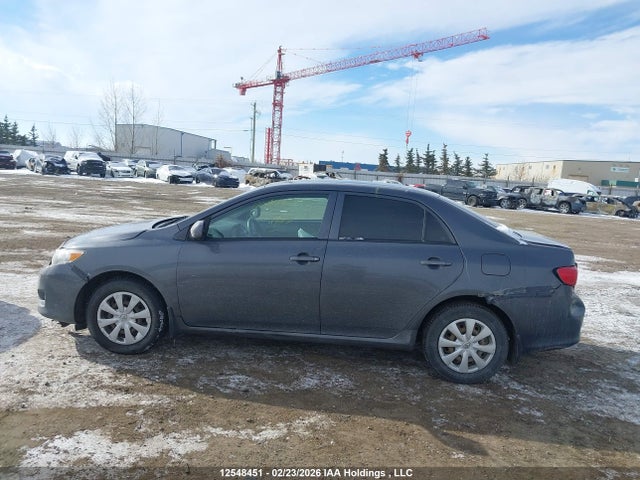 2009 Toyota Corolla Ce მანქანა იყიდება აუქციონზე, vin: 2T1BU40E39C048093, აუქციონის ნომერი: 12548451