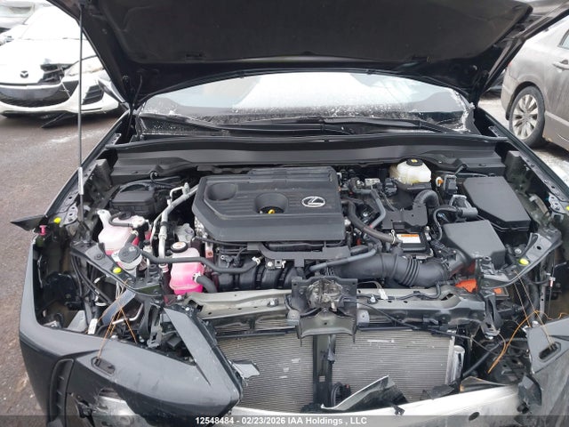 12548484 :رقم المزاد ، JTHUCJDH6S2005997 vin ، 2025 Lexus Ux 300h مزاد بيع