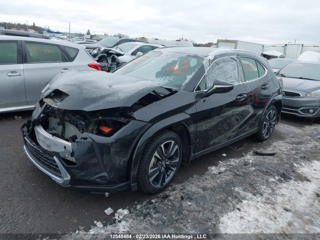 12548484 :رقم المزاد ، JTHUCJDH6S2005997 vin ، 2025 Lexus Ux 300h مزاد بيع