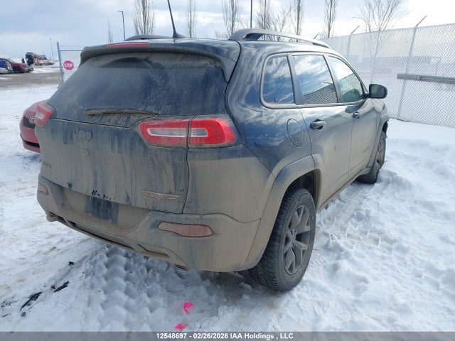 1C4PJMBS3GW308241 Jeep Cherokee Trailhawk