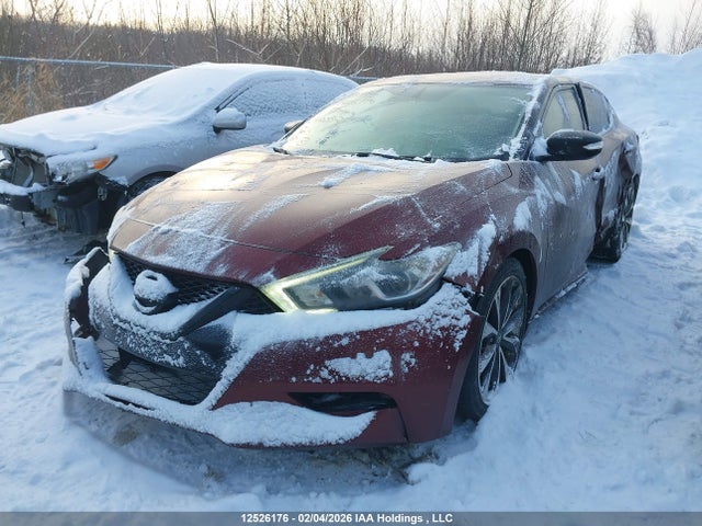 1N4AA6AP2GC420325 Nissan Maxima Platinum/sl/sr/sv