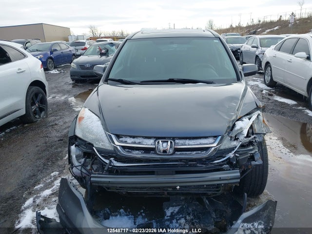 2010 Honda Cr-v Exl მანქანა იყიდება აუქციონზე, vin: 5J6RE4H77AL813895, აუქციონის ნომერი: 12548717
