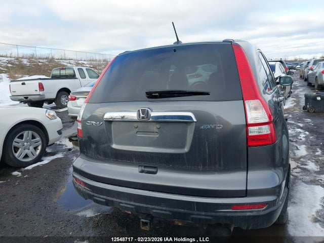 2010 Honda Cr-v Exl მანქანა იყიდება აუქციონზე, vin: 5J6RE4H77AL813895, აუქციონის ნომერი: 12548717
