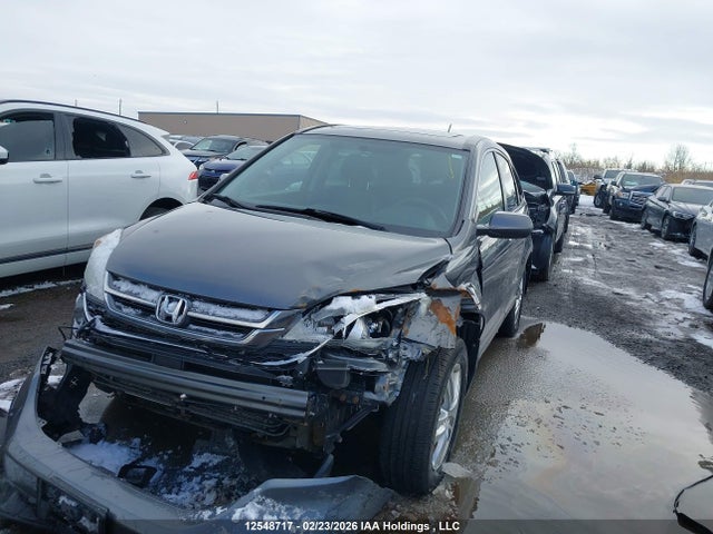 2010 Honda Cr-v Exl მანქანა იყიდება აუქციონზე, vin: 5J6RE4H77AL813895, აუქციონის ნომერი: 12548717