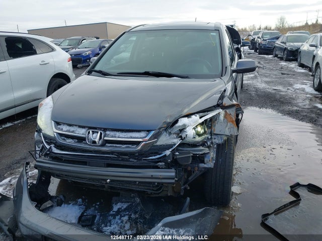 2010 Honda Cr-v Exl მანქანა იყიდება აუქციონზე, vin: 5J6RE4H77AL813895, აუქციონის ნომერი: 12548717