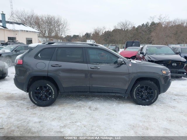 1C4PJMBX0LD598018 Jeep Cherokee Trailhawk