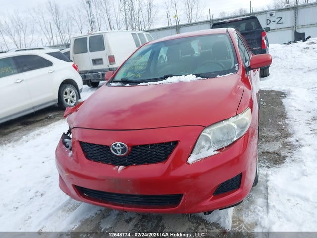12548774 :رقم المزاد ، 2T1BU40E49C165598 vin ، 2009 Toyota Corolla S/le/xle مزاد بيع