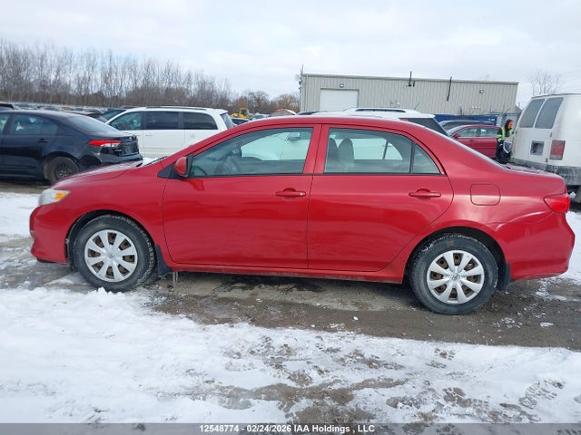 12548774 :رقم المزاد ، 2T1BU40E49C165598 vin ، 2009 Toyota Corolla S/le/xle مزاد بيع