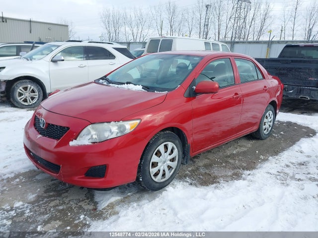 12548774 :رقم المزاد ، 2T1BU40E49C165598 vin ، 2009 Toyota Corolla S/le/xle مزاد بيع