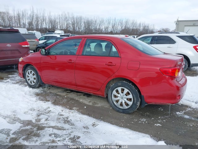 12548774 :رقم المزاد ، 2T1BU40E49C165598 vin ، 2009 Toyota Corolla S/le/xle مزاد بيع