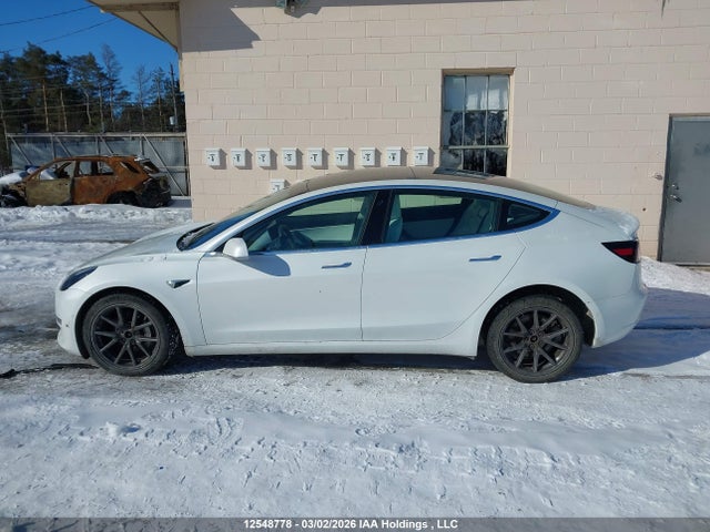12548778 :رقم المزاد ، 5YJ3E1EB8KF473258 vin ، 2019 Tesla Model 3 Long Range/performance مزاد بيع