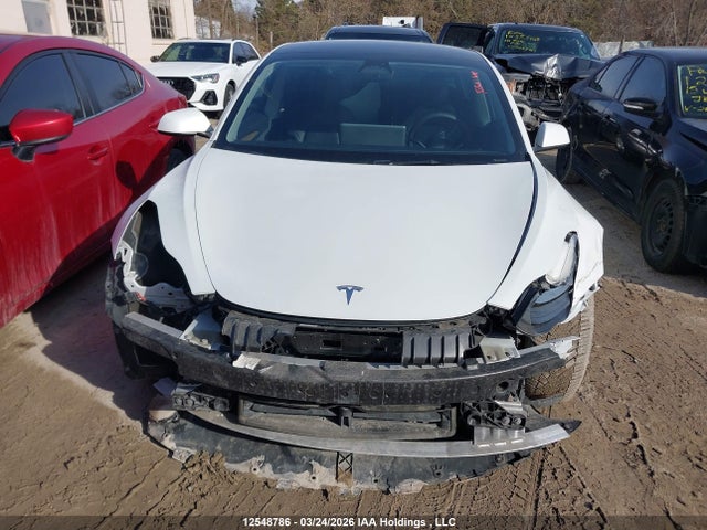 Продажа на аукционе авто 2023 Tesla Model 3 Rwd, vin: LRW3E1FA2PC845796, номер лота: 12548786