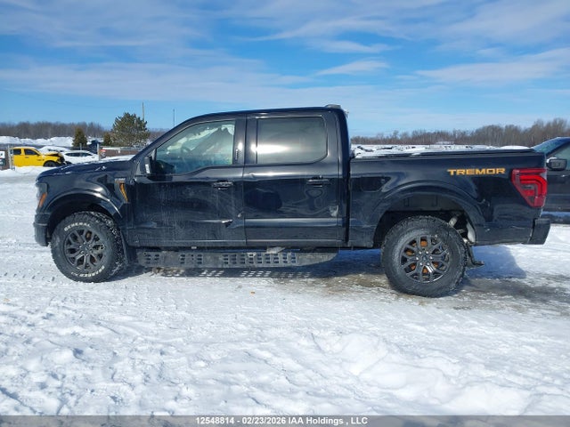 1FTFW4L89RFA76036 Ford F-150