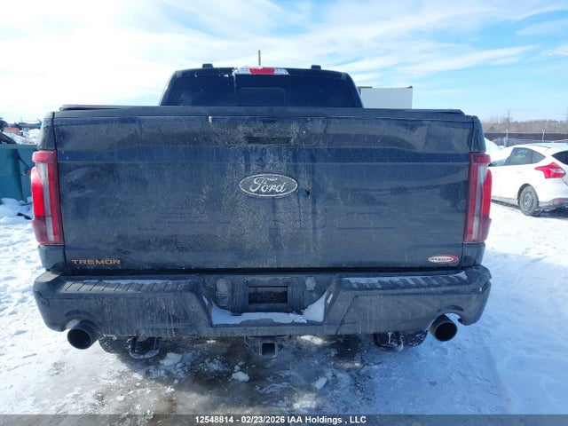 1FTFW4L89RFA76036 Ford F-150