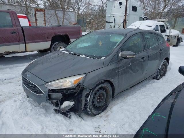 1FADP3K20GL206317 Ford FOCUS SE