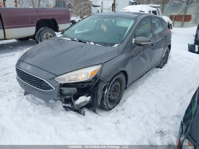 1FADP3K20GL206317 Ford FOCUS SE