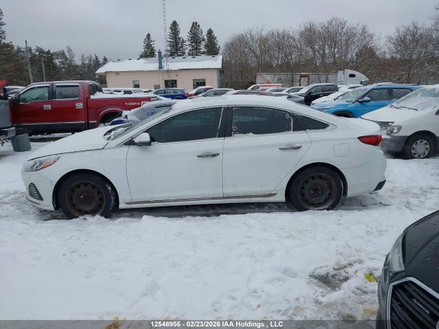 5NPE34AF9JH686163 Hyundai Sonata Sport/limited/sel