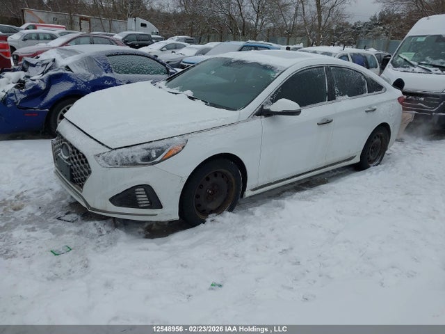 5NPE34AF9JH686163 Hyundai Sonata Sport/limited/sel