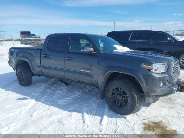 2023 Toyota Tacoma მანქანა იყიდება აუქციონზე, vin: 3TYDZ5BN0PT028275, აუქციონის ნომერი: 12548975