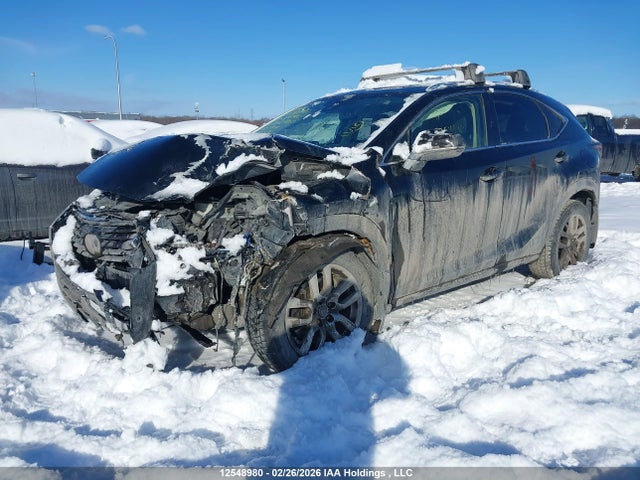 2020 Lexus Nx 300 მანქანა იყიდება აუქციონზე, vin: JTJGARDZXL5002903, აუქციონის ნომერი: 12548980