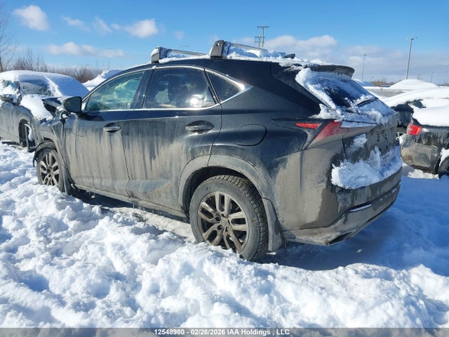 2020 Lexus Nx 300 მანქანა იყიდება აუქციონზე, vin: JTJGARDZXL5002903, აუქციონის ნომერი: 12548980