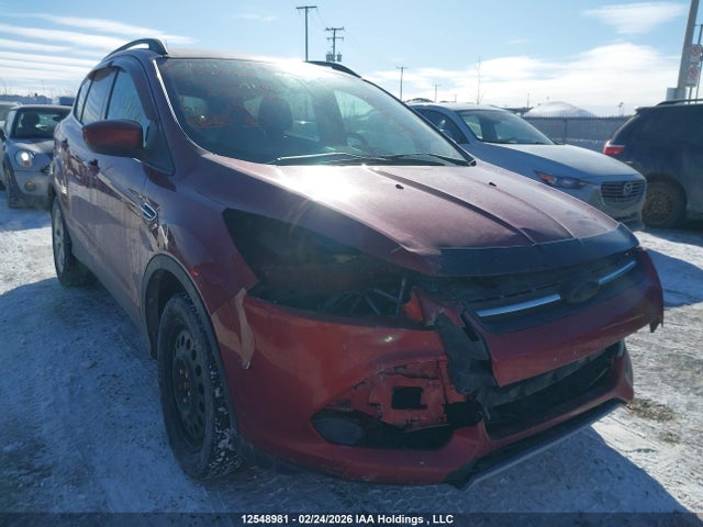 1FMCU9GX8EUA24955 Ford Escape