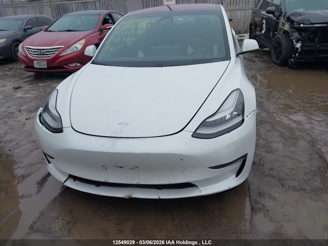 Aukcja sprzedaży 2021 Tesla Model 3 Standard Range/standard Range Plus, vin: 5YJ3E1EAXMF848593, numer aukcji: 12549029
