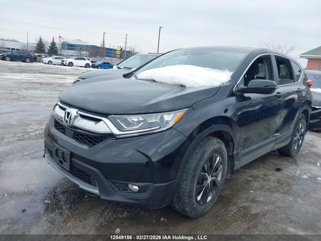 2HKRW2H59KH109709 Honda CR-V EX