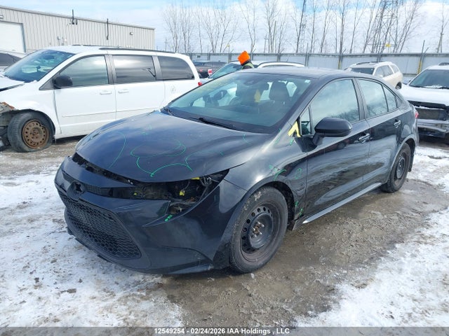 2020 Toyota Corolla Le მანქანა იყიდება აუქციონზე, vin: 5YFBPRBEXLP042719, აუქციონის ნომერი: 12549254