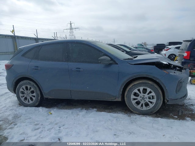 Aukcja sprzedaży 2025 Ford Escape Active, vin: 1FMCU0GNXSUB11617, numer aukcji: 12549299