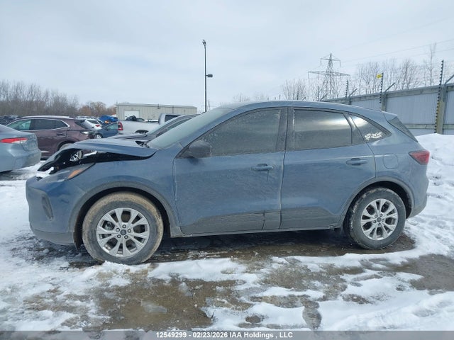 Aukcja sprzedaży 2025 Ford Escape Active, vin: 1FMCU0GNXSUB11617, numer aukcji: 12549299