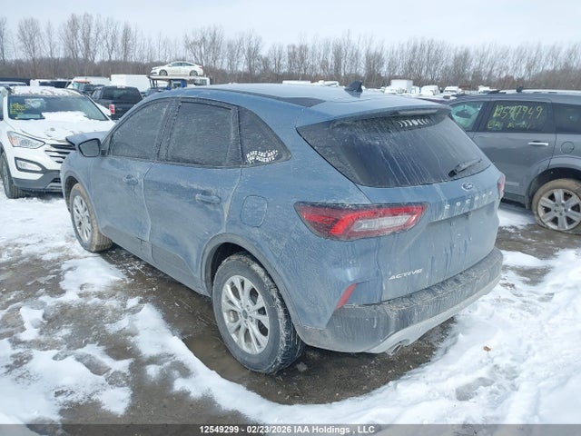 Aukcja sprzedaży 2025 Ford Escape Active, vin: 1FMCU0GNXSUB11617, numer aukcji: 12549299