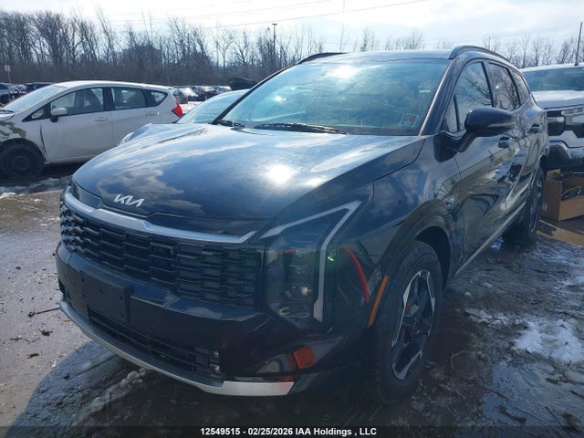KNDPVDDG8T7295309 KIA SPORTAGE HYBRID