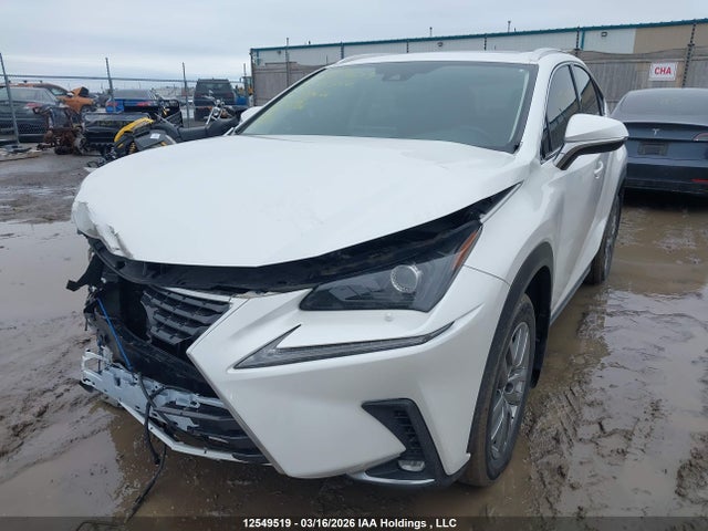 Aukcja sprzedaży 2020 Lexus Nx 300, vin: JTJGARDZ6L5000601, numer aukcji: 12549519